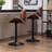 Kaceton Swivel Adjustable Height Counter Stool-118699344
