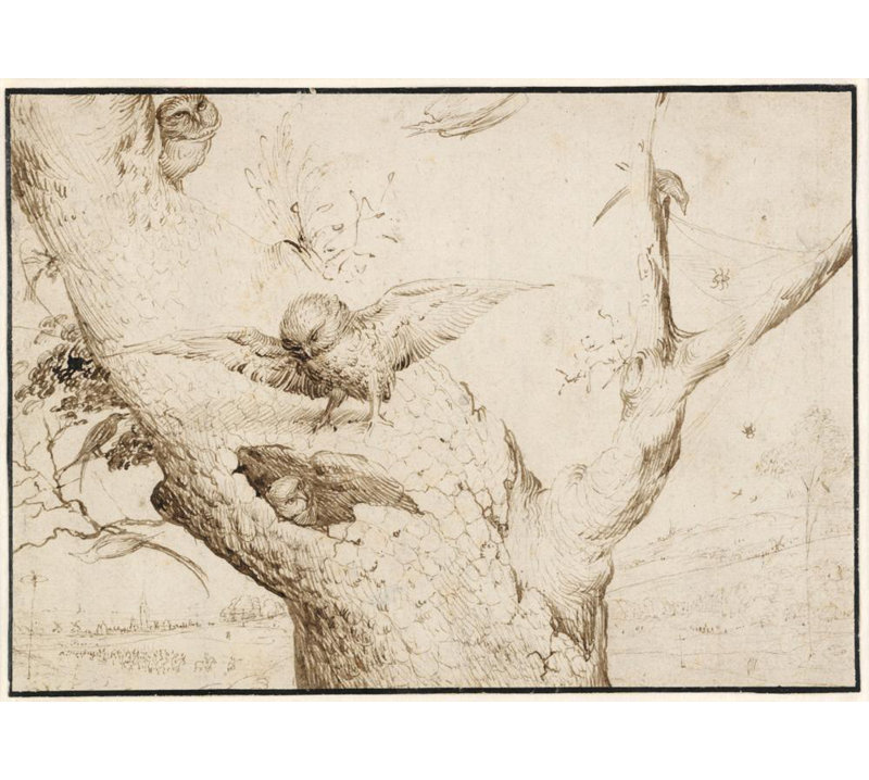 "The Owl's Nest" by  Hieronymus Bosch - Gallery Wrap Canvas Wall Art, 40" H x 28" W