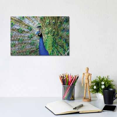 Beauty III by Goran Anastasovski - Wrapped Canvas Print