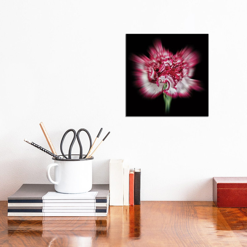 Pink Daisy Flower by Glauco Meneghelli - Wrapped Canvas Print, 30.48cm H x 30.48cm W x 1.905cm D