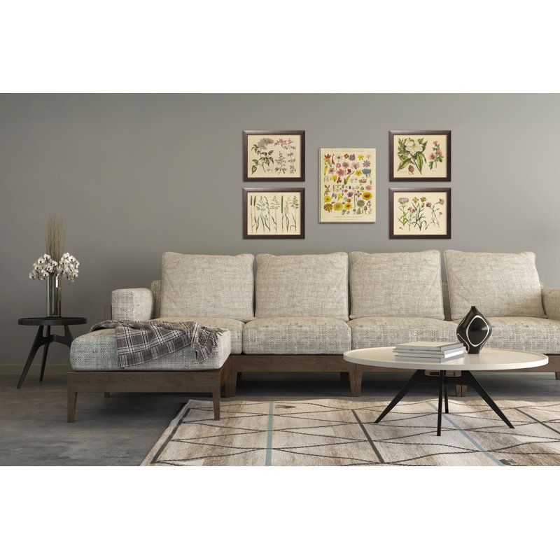 « plantes botanique xi » par sauvage pomme portfolio-impression sur toile
