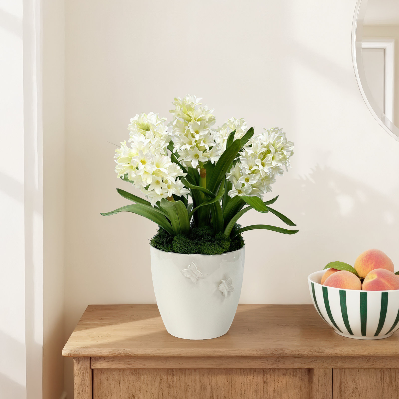 HYACINTH IN A CACHE POT