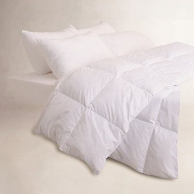 All Season Body Control Lyocell Comforter