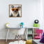 «Cool Koala & Glasses» par Roozbeh Bahramali-1402998386-1399776500
