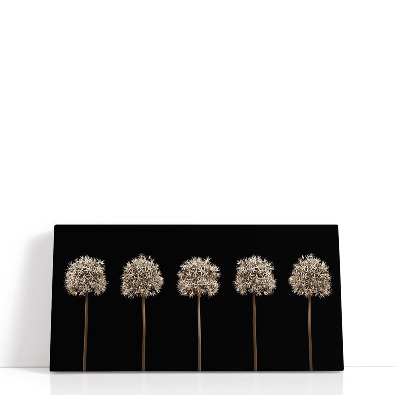 «Three Allium Flowers», reproduction d'art sur toile, H 30 po x l 60 po