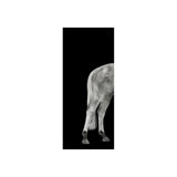 Twilight Cheval I Print by Austin Beiv
