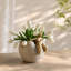 Pot à fleurs rond moderne abstrait avec figurine suspendue de ton doré, pot de décoration neutre texturé pour tablette, manteau de cheminée, présentoir de table