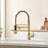 Pull Down Kitchen Faucet-125337517
