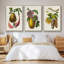 Ensemble de 3 pièces encadrées sur toile sépia botaniques IV-97711013-97711014