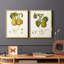 Reproduction encadrée Vintage Pears V-Premium - prête à être accrochée - aucun clou requis - aucun clou requis-2115749892-2115749895