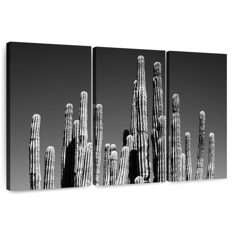 Harnek - Arizona noir - Cactus II, H 36 po x l 57 po