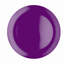 Brights 28cm Melamine Dinner Plate