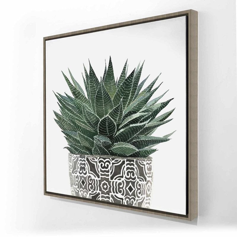 Plante grasse zèbre - Toile botanique encadrée pour la cuisine