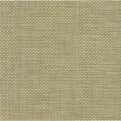 Vazquez Grass Cloth Roll