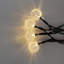 Guirlande de lumières en cristal Sitton-949127794