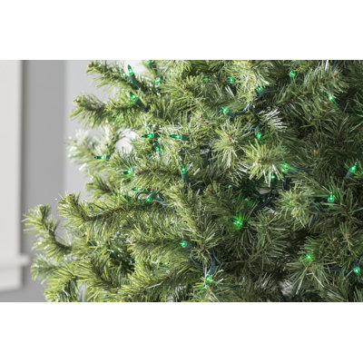 606'' String Lights