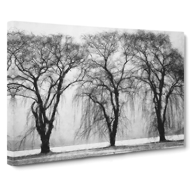 Three Trees At Winter - Wrapped Canvas, 50cm H x 76cm W x 3cm D