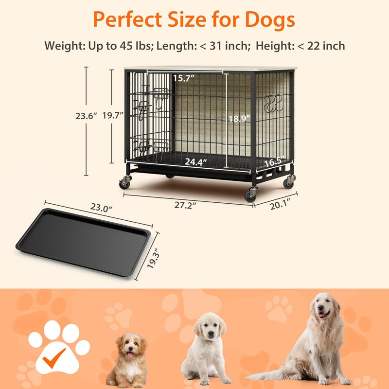Dog House