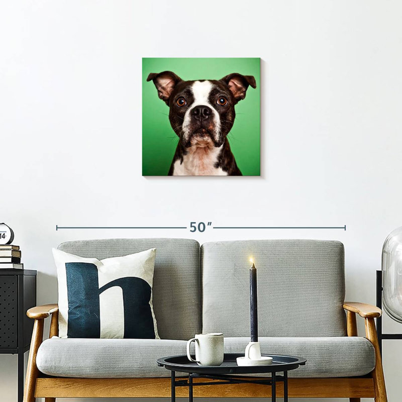 Brampt Attentive Boston Terrier, 20" H x 20" W