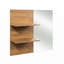 Armoire de rangement à miroir