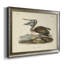 " Audubons Brown Pelican "-301430614