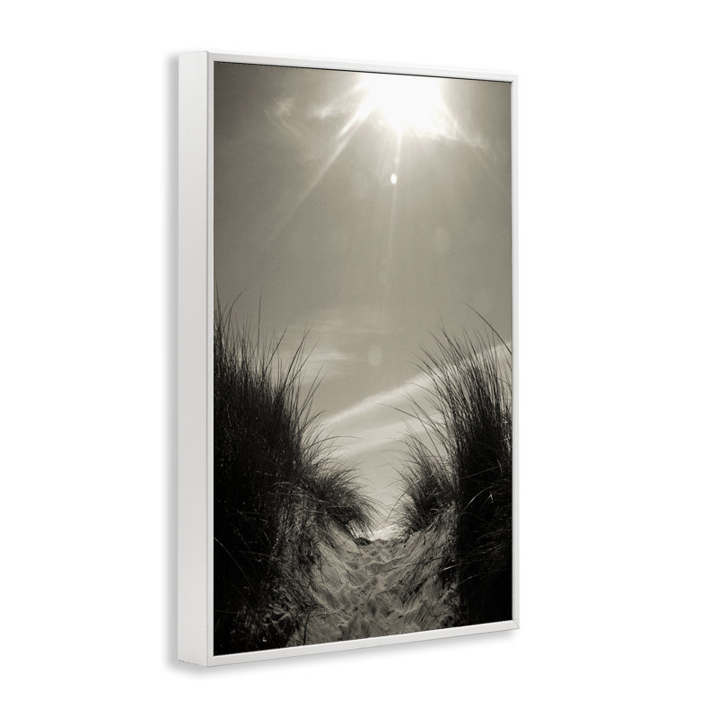 «Dune Valley Landscape», estampe numérique de Noah Bay, Giclée encadrée blanc bord de mer, H 18 po x l 12 po