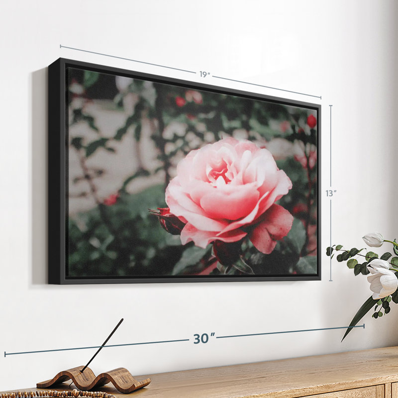 Impression sur toile rose rose, H 13 po x l 19 po
