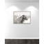 «Melanie Islandais Meadow Horses» par Danita Delimont - photographie encadrée sur papier-59846107-59846108