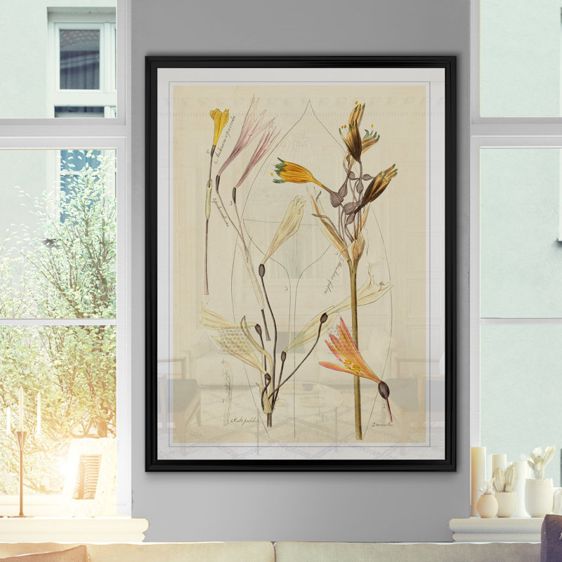 « antique botanique esquissé vi »-impression sur toile, H 18,5 po x l 24,5 po x P 1,5 po, Cadre noir