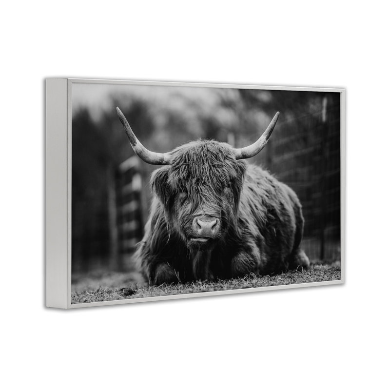 Bétail couché dans l'herbe, estampe numérique par Dakota Diener, Giclée encadrée blanc bord de mer, H 12 po x l 18 po