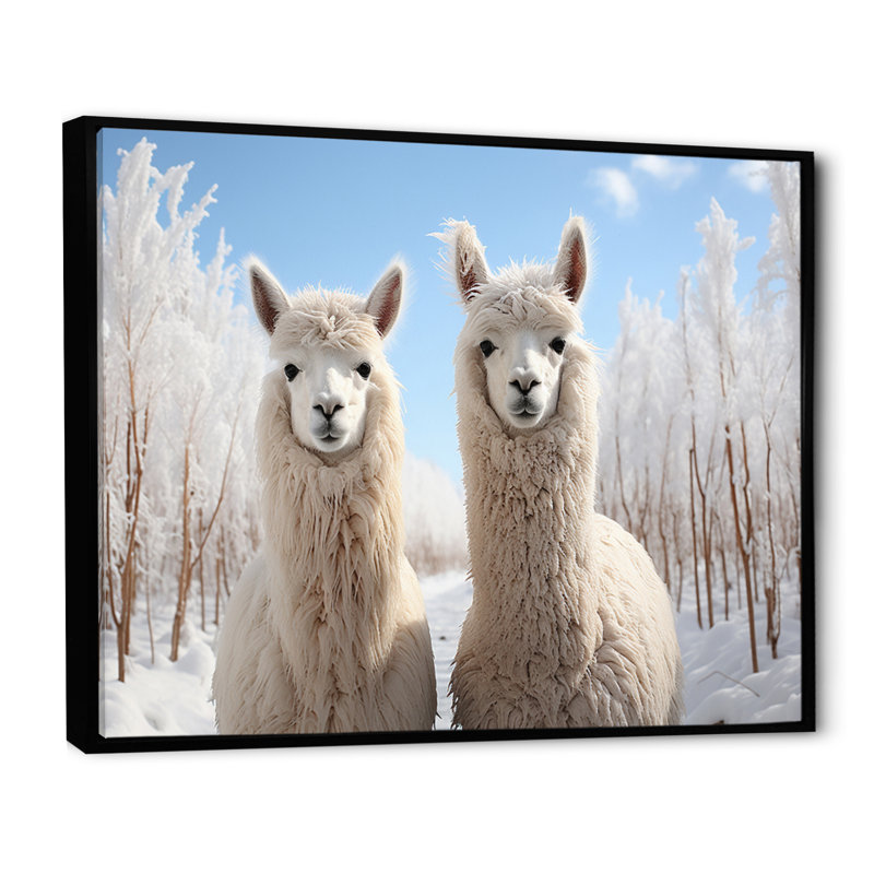Alpagas Graceful Alpacas III - impression, H 12 po x l 20 po x P 1 po, Cadre flottant noir