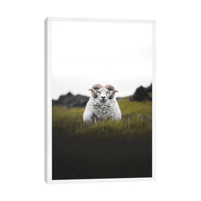 Staredown 1 Piece Wall Art on Canvas