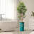 Artificial Tree in Black White Wood Tree Rings Pattern Planter Fake Bamboo Silk Tree-103684947