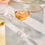Nell Coupe Glass