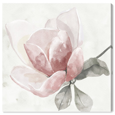 Faded Blush Rose
