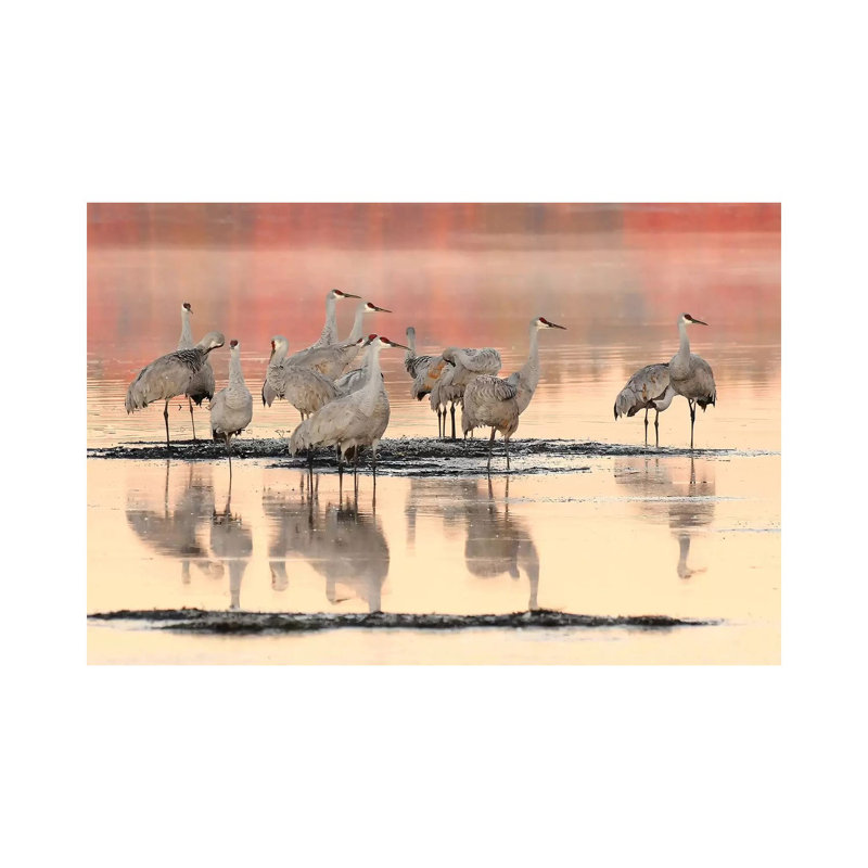 Morning Reflections by Brian Wolf - Wrapped Canvas Print, 20.32cm H x 30.48cm W x 1.91cm D