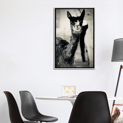 Black and White Photography