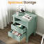 Amberrae 2 Drawer Bedside Table-1338922939