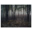 «Dark Spooky Misty Wild Forest», impression sans cadre sur métal-61499074