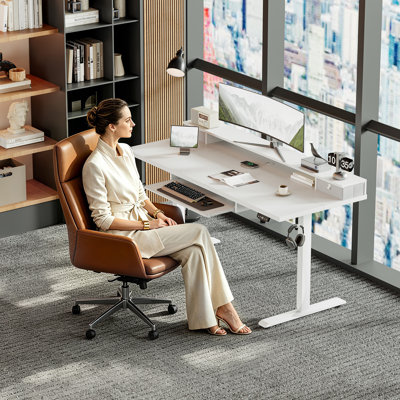 55 Inch Electric Height Adjustable Sit to Stand Desk with 2 Storage Drawers & Pull-out Keyboard Tray, Ergonomic Home Office Computer Workstation with Side Hooks for Gaming & Daily Work,White