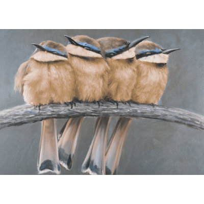 Four Birds on a Branch - Exotic Gray Outdoor Area Rug | Decor
