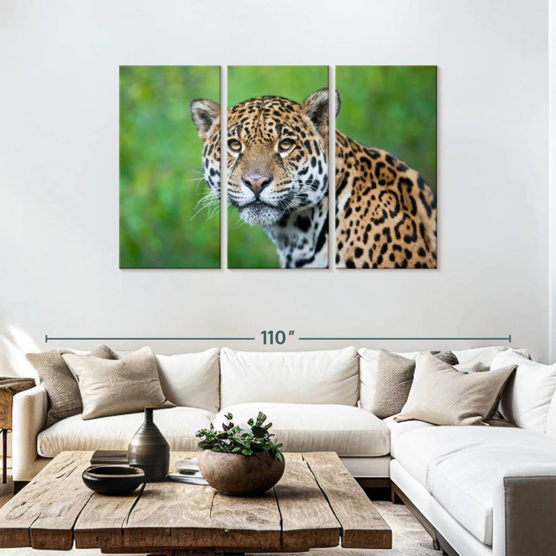 Jaguar Gaze