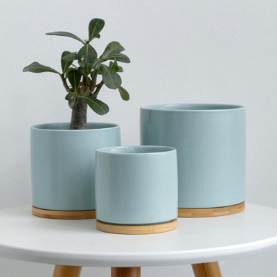 Zelal 2-Piece 4.5" Ceramic Pot Planter Set