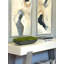 Arrangement Corder Moss In Fiberstone-113002687-112842974