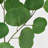 Audet Green Artificial Eucalyptus Branch(1 Stem)