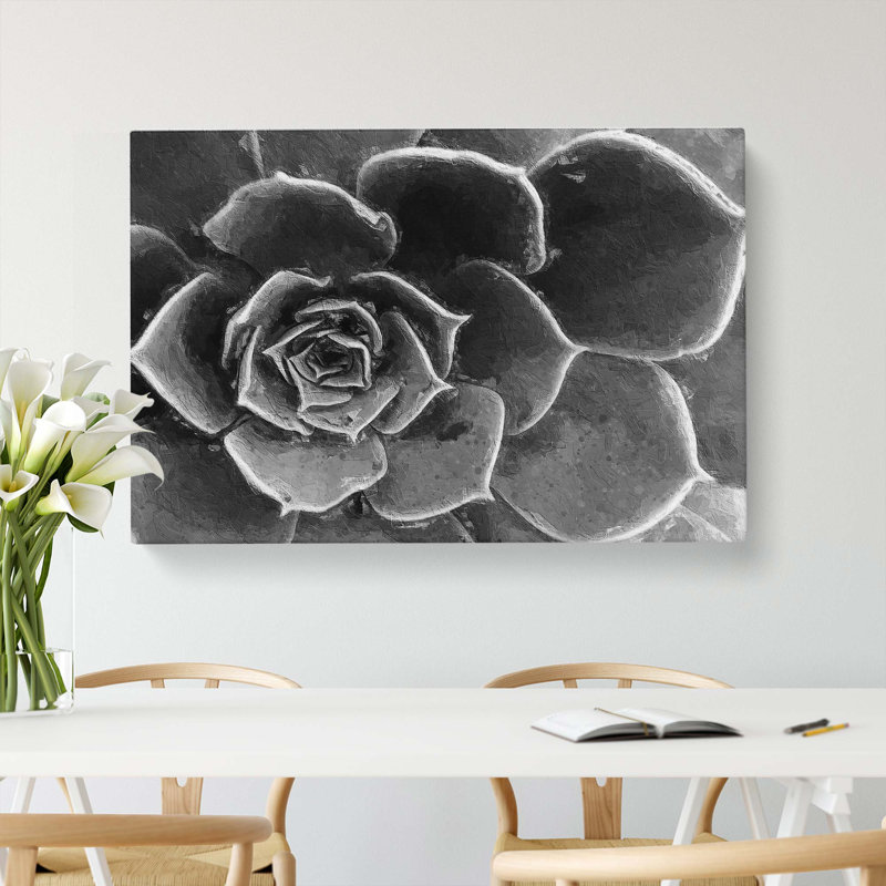Succulent Plant - Wrapped Canvas, 35cm H x 50cm W x 3cm D