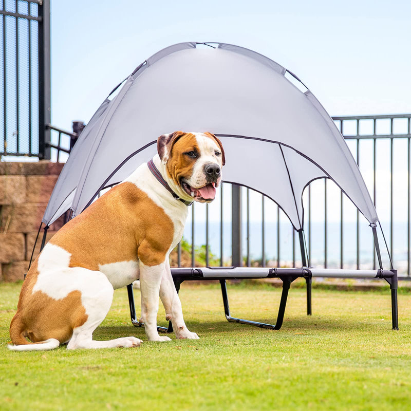 Lit pour chien X Large, Argent/Gris
