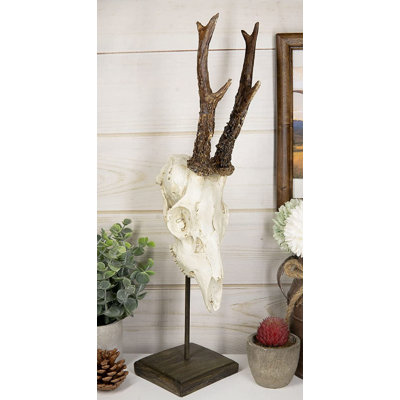 Animals Bust