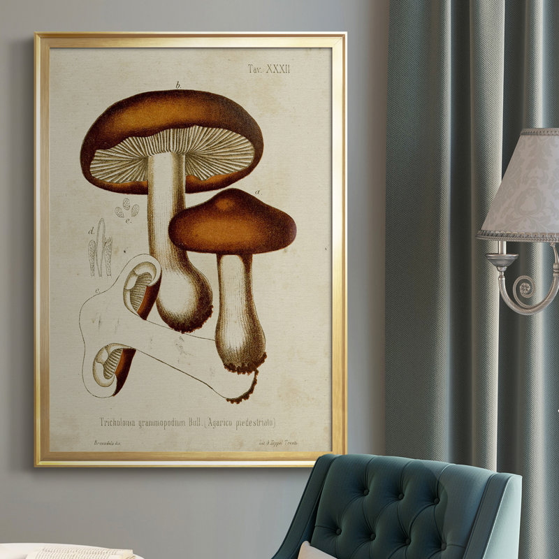 Mushroom Variétés VI - reproduction d'art sur toile, H 36,5 po x l 26,5 po x P 1 po, Or