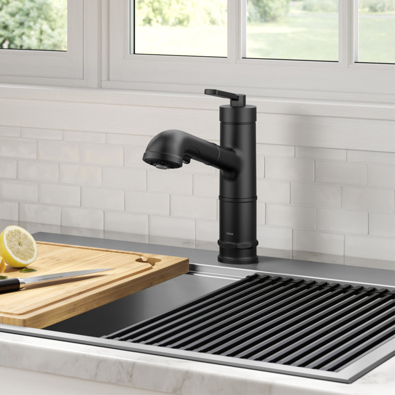 Allyn Pull-Out Single Handle Kitchen Faucet, Black